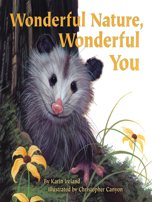 Title details for Wonderful Nature, Wonderful You by Karin Ireland - Available